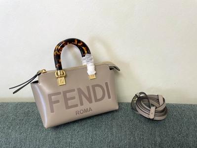 Fendi Handbags 493